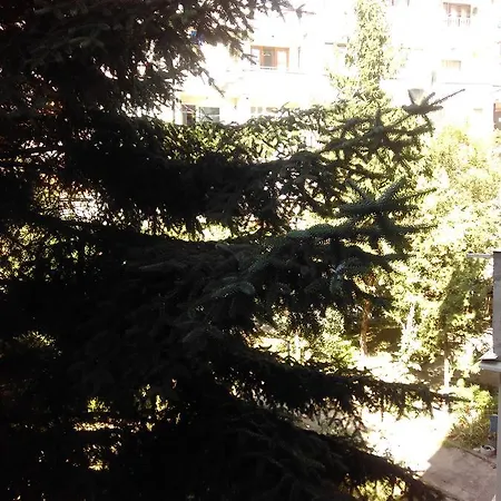 Apartament Appartement *